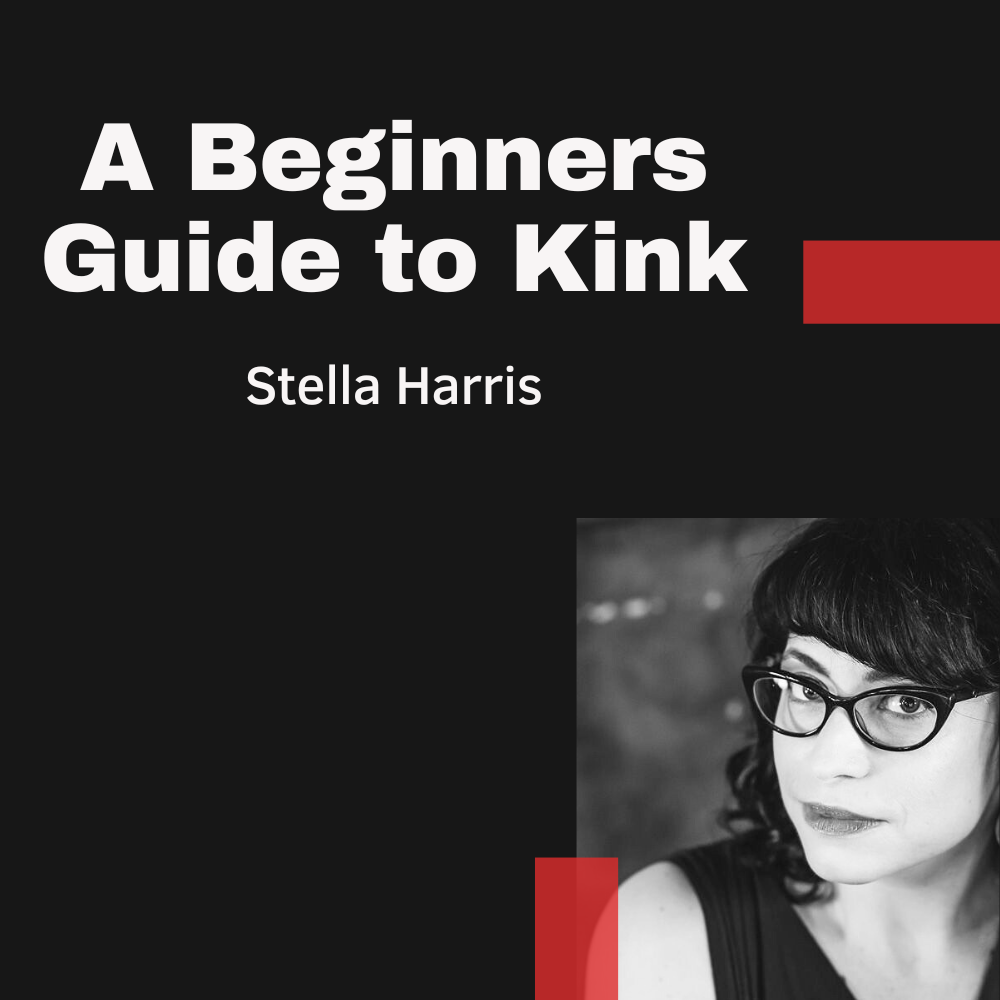 The Kink Bundle