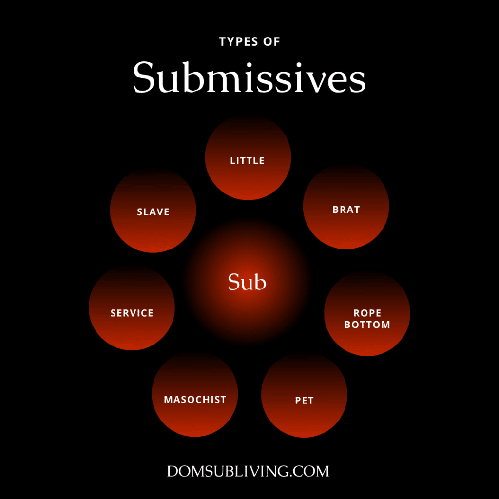 Types of subs for learning how to be a good submissive