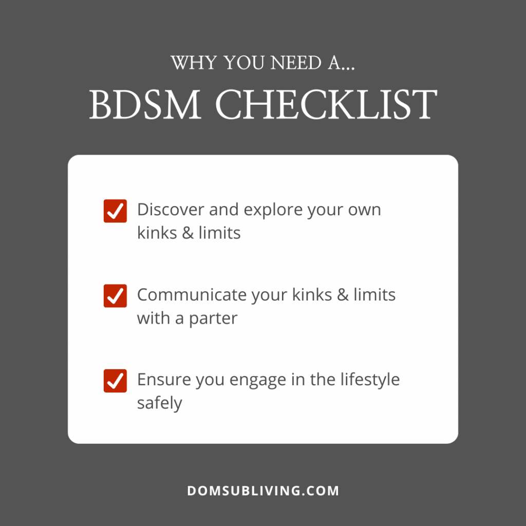 BDSM Checklist infographic